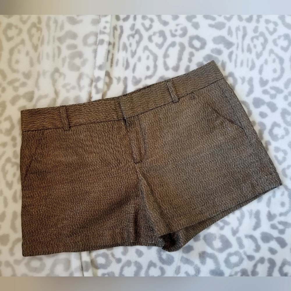 CK Gold $Black Metallic Shorts